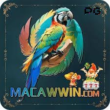 Logo da macawwin